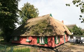 Unterm Rohrdach